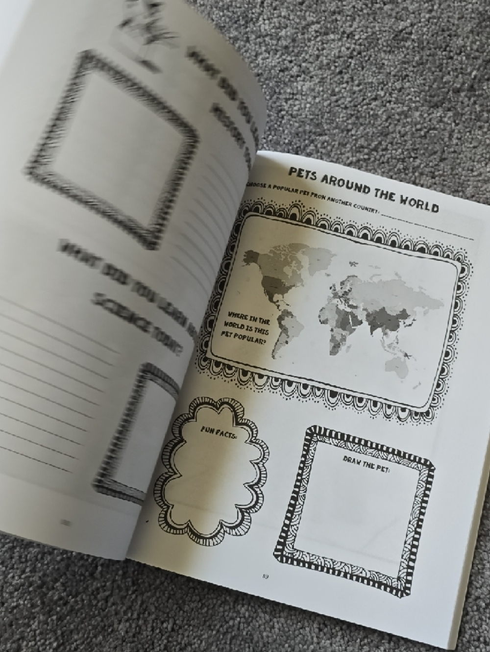 Minecraft 'All About Pets' Fun Schooling Journal - Orange & Gray - Picture 9 of 16